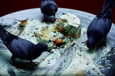 Illustration butchering - Image 1