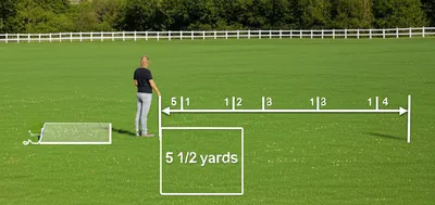 Illustration perch - Image 1