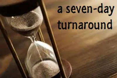 Illustration turnaround - Image 2