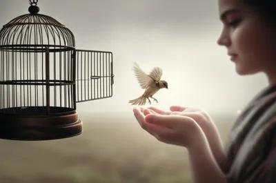 Illustration suffers - Image 1