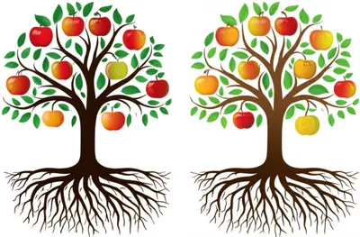 Illustration cognates - Image 1