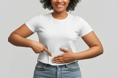 Illustration ventral - Image 1