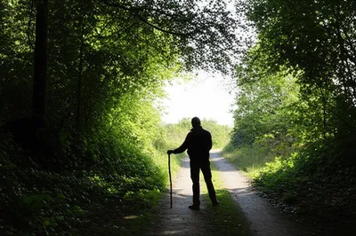 Illustration heuristic - Image 1