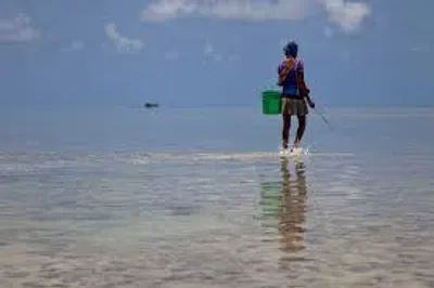 Illustration paddle - Image 2