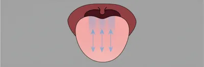 Illustration medial - Image 1