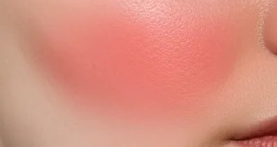 Illustration ruddied - Image 1