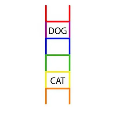 Illustration doublet - Image 1