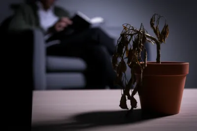 Illustration failing - Image 1