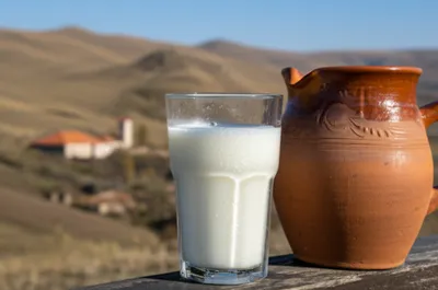 Illustration tan - Image 1