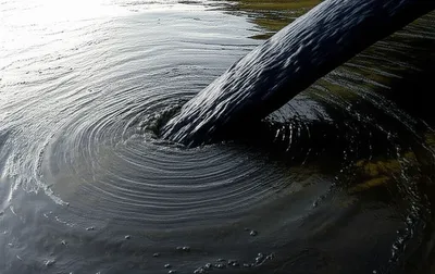 Illustration murk - Image 1