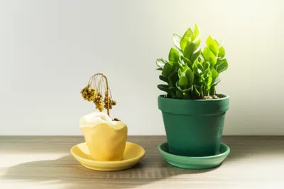 Illustration too - Image 1