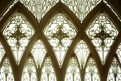 Illustration tracery - Image 1