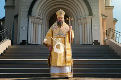 Illustration primate - Image 1