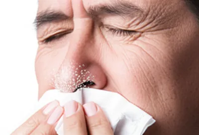 Illustration snort - Image 1