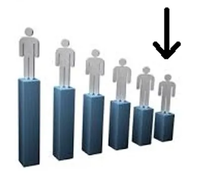 Illustration buck - Image 2