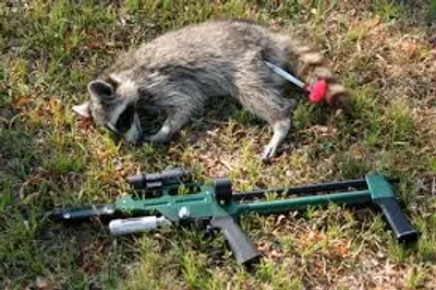 Illustration dart - Image 3