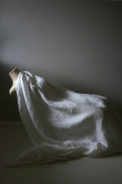 Illustration shrouds - Image 1