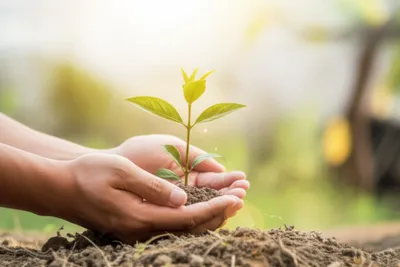 Illustration persuades - Image 1