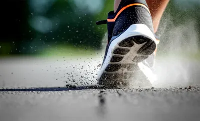 Illustration pounded - Image 1