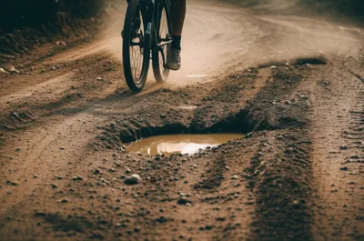 Illustration ruff - Image 1