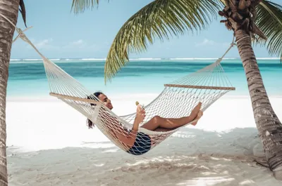 Illustration unwinds - Image 1