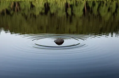 Illustration perturb