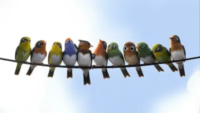 Illustration twitted - Image 1