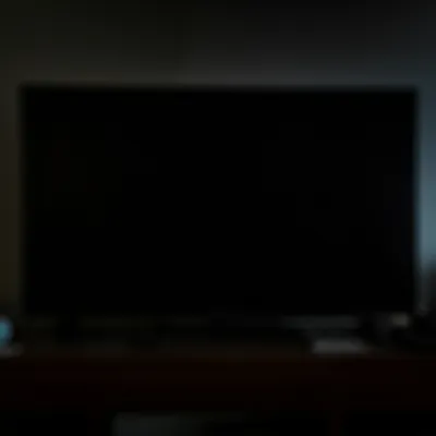 Illustration slug - Image 1