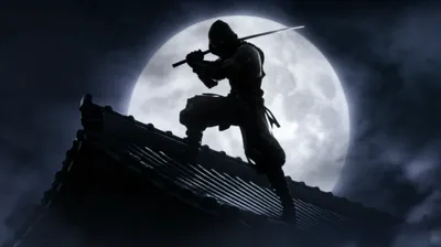 Hình ảnh minh họa ninjas - Ảnh 1