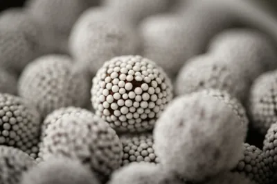 Illustration nonpareils - Image 1