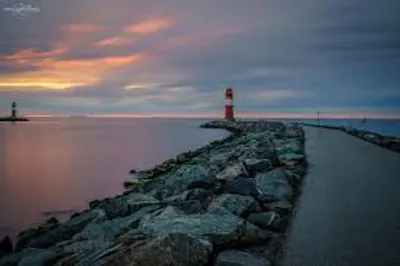 Illustration mole - Image 2