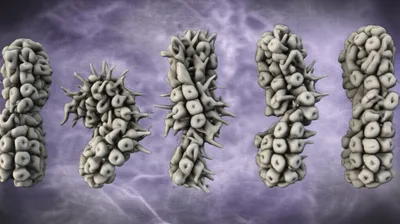 Illustration prion - Image 1