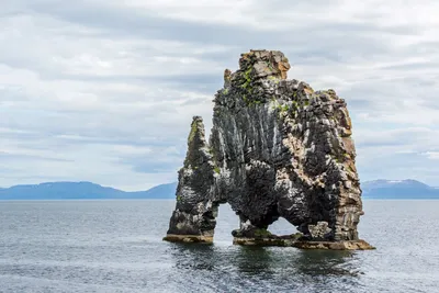 Illustration oddities - Image 2