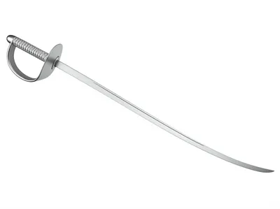 Illustration sabre - Image 1