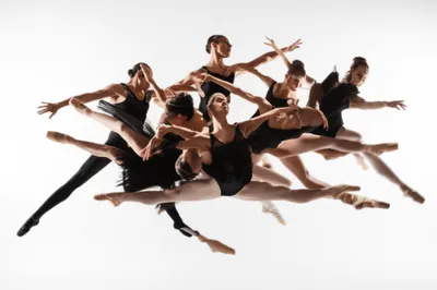 Illustration fig - Image 1