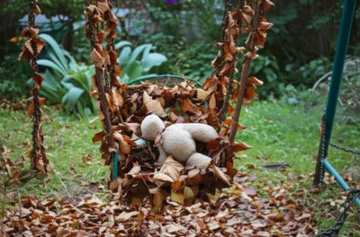 Illustration slumbered - Image 1