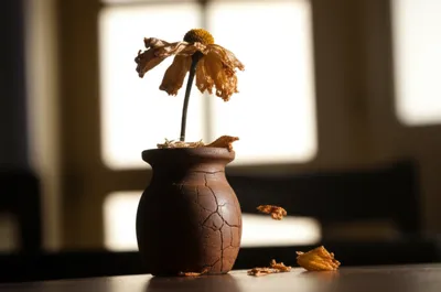 Illustration terminally