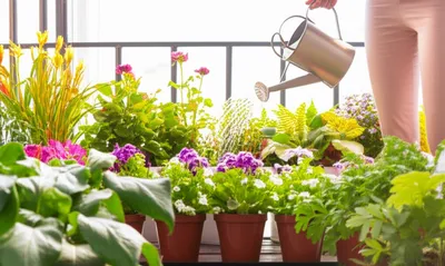 Illustration fends - Image 1