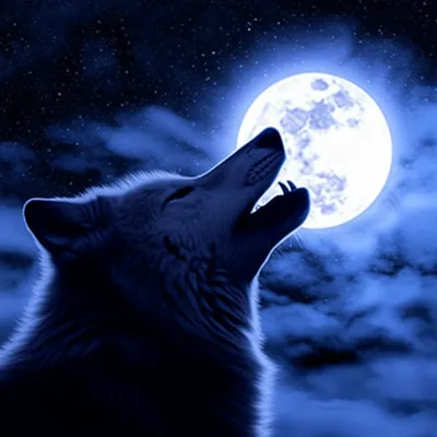 Illustration howling - Image 1