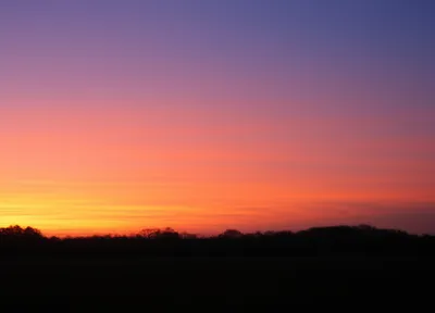 Illustration darken - Image 1