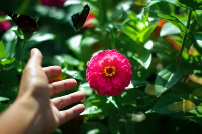 Illustration reality - Image 1