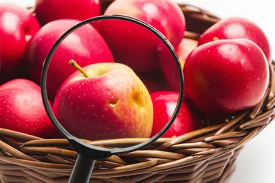 Illustration criticized