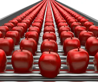 Illustration copies - Image 1