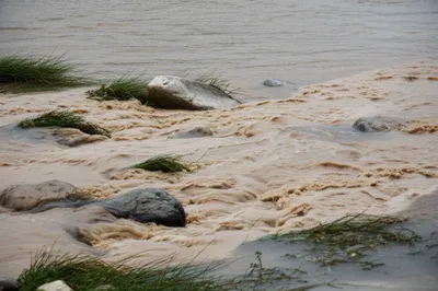 Illustration silt - Image 1