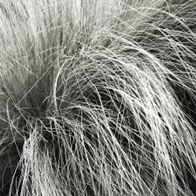 Illustration wiry - Image 2