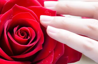 Illustration caressed