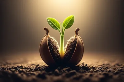 Illustration come - Image 1