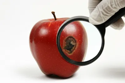 Illustration taint - Image 1