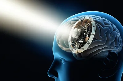 Illustration studies - Image 1