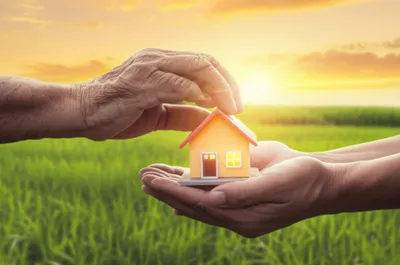 Illustration estate - Image 1